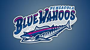 Blue Wahoos Baseball - Pensacola Beach FUN